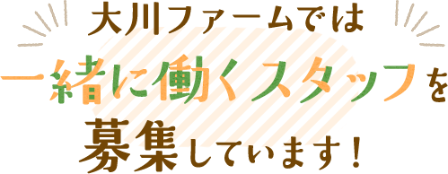 大川ファームでは一緒に働くスタッフを募集しています！